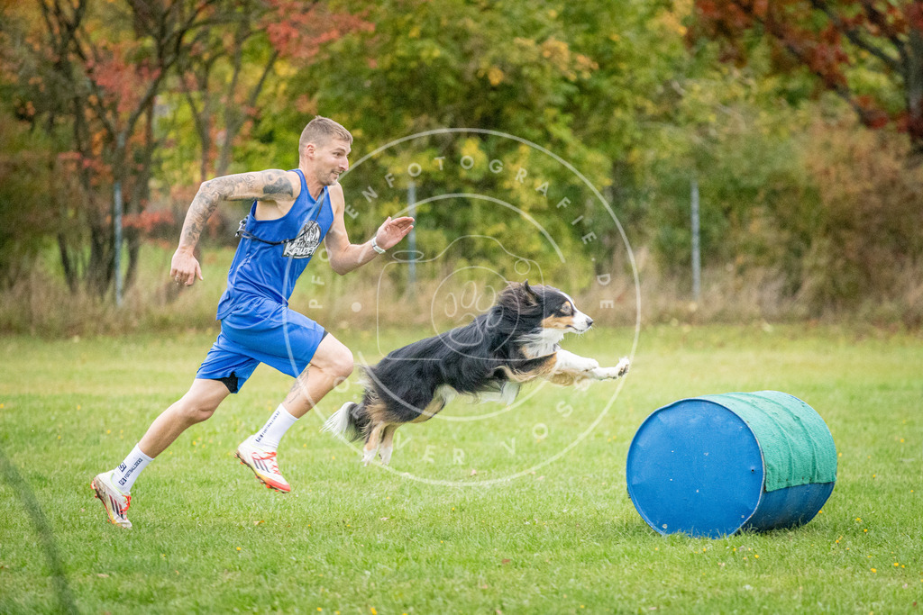 Pfotenfotografie_DV3A0867 | Hundefotografie, Tierfotograf, Pfotenfotografie, Fotoshooting Hund, Hunde Portrait, Hundesport, Hundeportraits, Heideshooting, Hunde, Sportfotograf, Hundefotograf, Turnierhundsport, THS,  - Realisiert mit Pictrs.com
