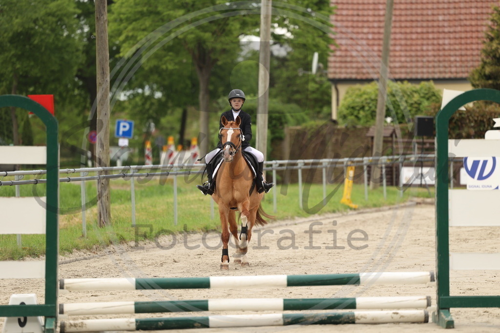 994A8333 | sabrinanicolaifotografie - Realisiert mit Pictrs.com