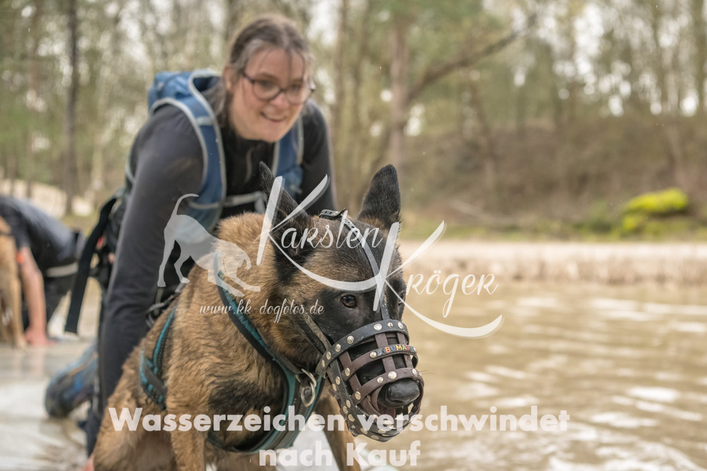 1336_ZZ90157-Bearbeitet | kk-dogfotos