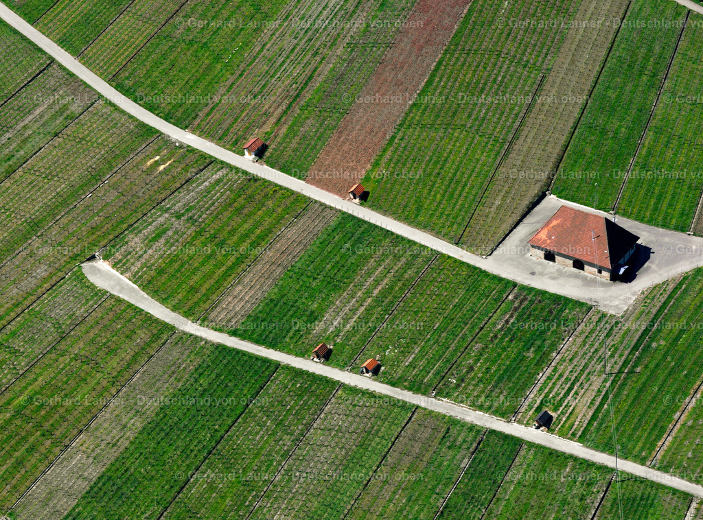 2506088 | Alte Kelter bei Hanweiler