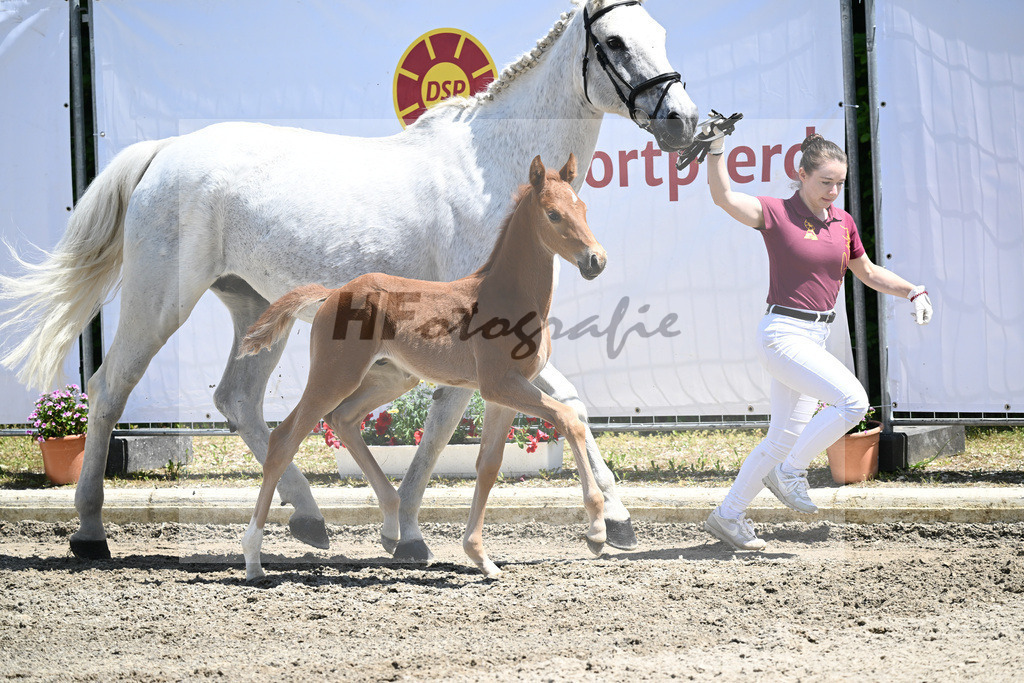 Kat-Nr. 32 HF Arezzo Gold_Ott_12230809 | hf-fotografie - Realizzato con Pictrs.com