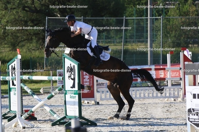 OHT 2022 Röhlingen (170) | Fotografie, Tiere, Hunde, Katzen, Pferde, Sportfotografie, Fotosession, Tierfotografie, Turnierfotografie, Fotografin, Fotograf - Realisiert mit Pictrs.com