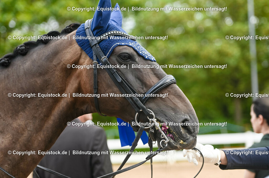 20230716_01_Dressurprüfung Kl.M_0766 | equistock