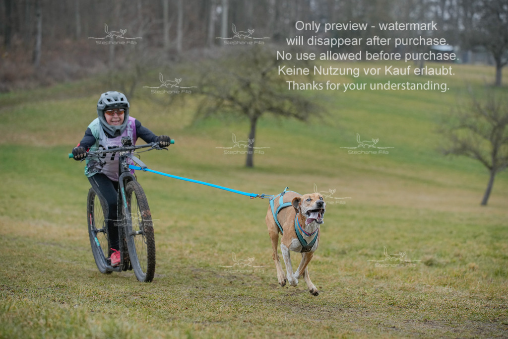 Sa_Scooter1-50 | stephaniefillaphotographie - Realisiert mit Pictrs.com