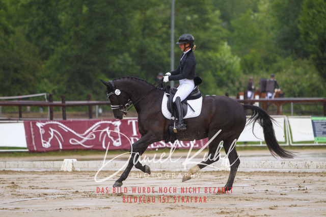 DKP40564 | Turniersportfotografie; Pferdefotografie; Dressurfotografie