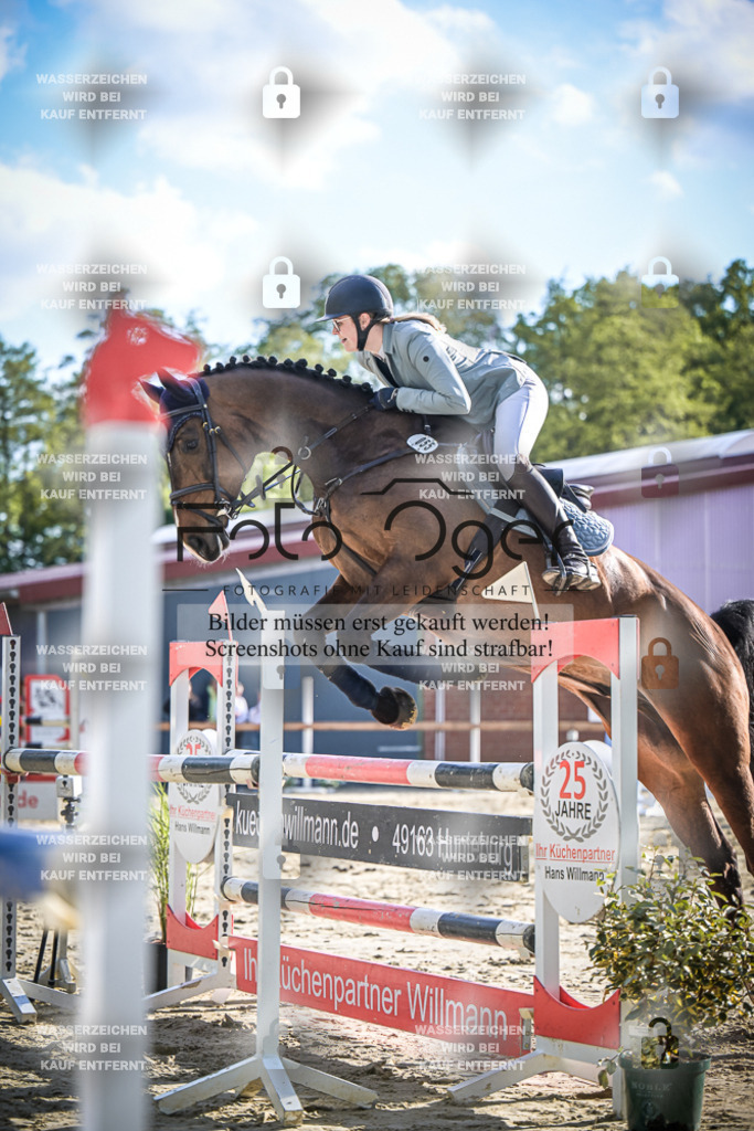 DOS_3896 | Entdecke hochwertige Reitturnierfotos von Foto Oger. Professionell, emotional und authentisch – jetzt Lieblingsmomente im Shop bestellen.Deutschlandweite Turnierfotografie. - Realisiert mit Pictrs.com