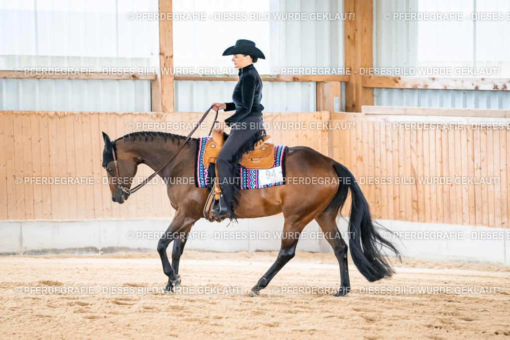 DSC01692 | Pferdegrafie