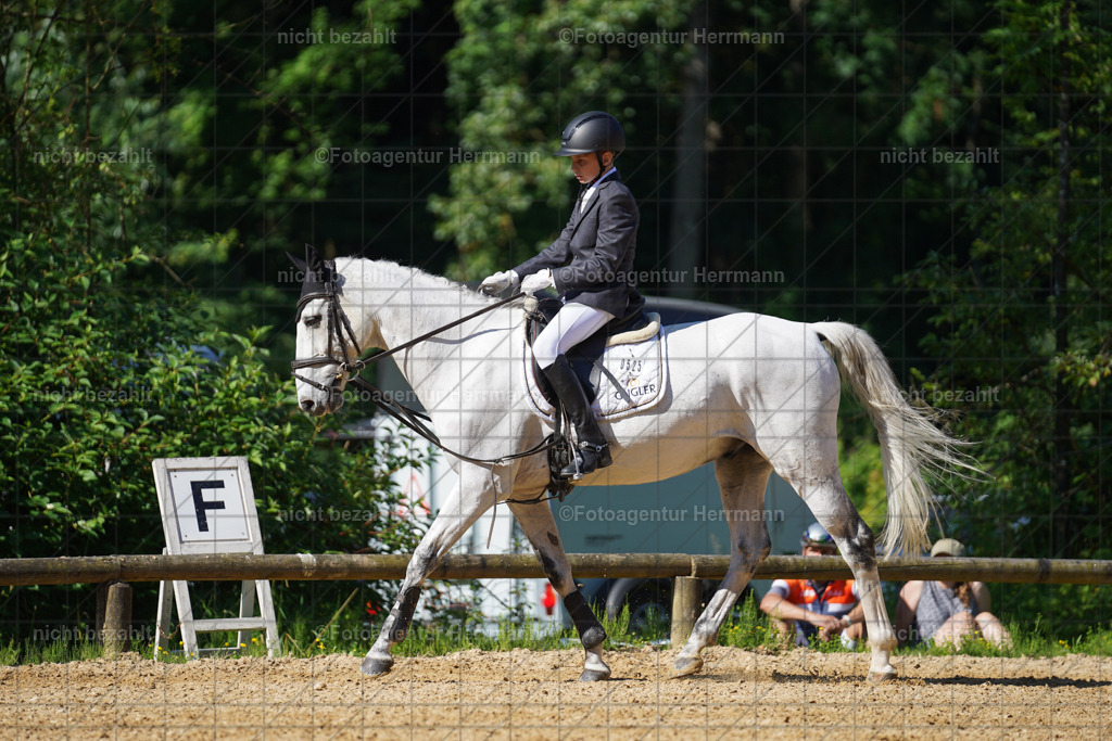 20240706-FAH04656 | Grafing Turnierfotos, Reitverein Ebersberg, Turnierfotografen Bayern, reitsportbilder, Pferdefotograf, reitsportfotograf, Sportbilder, Reitsportfotografie, Fotoagentur Herrmann, Turnierfotograf