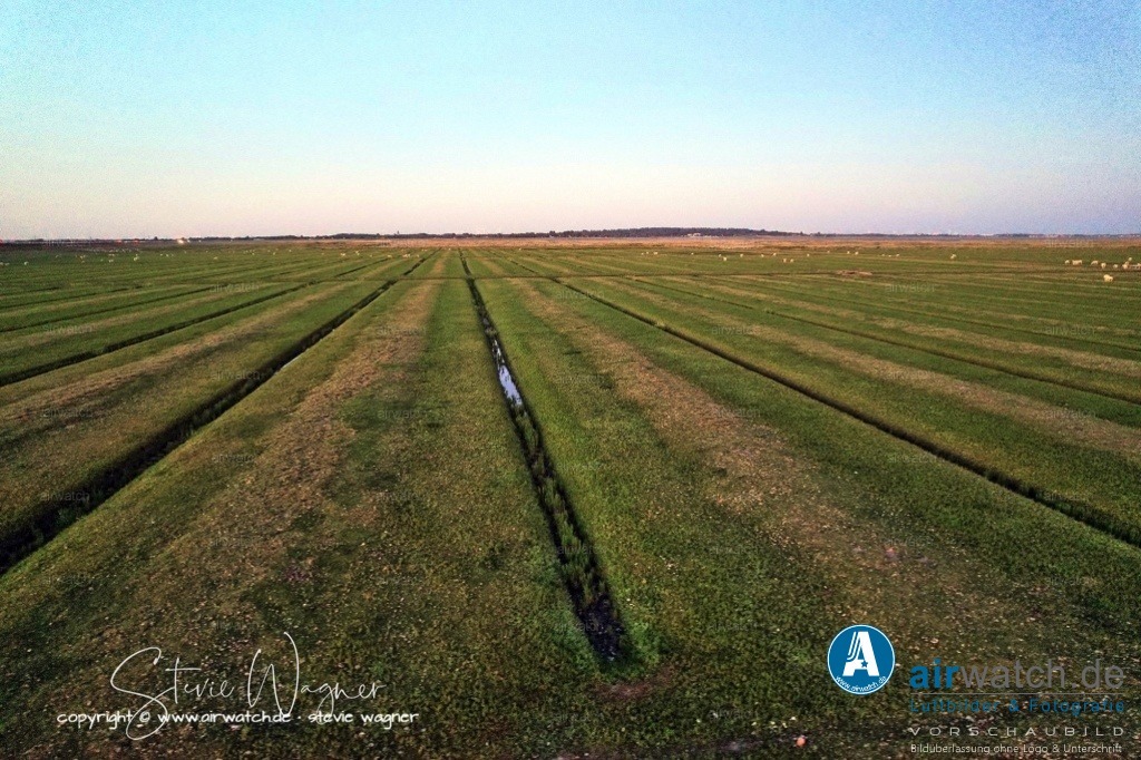 Nordstrand - Pohnshalligkoog | default