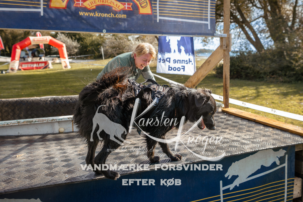 1428_ZZ94599-2 | kk-dogfotos