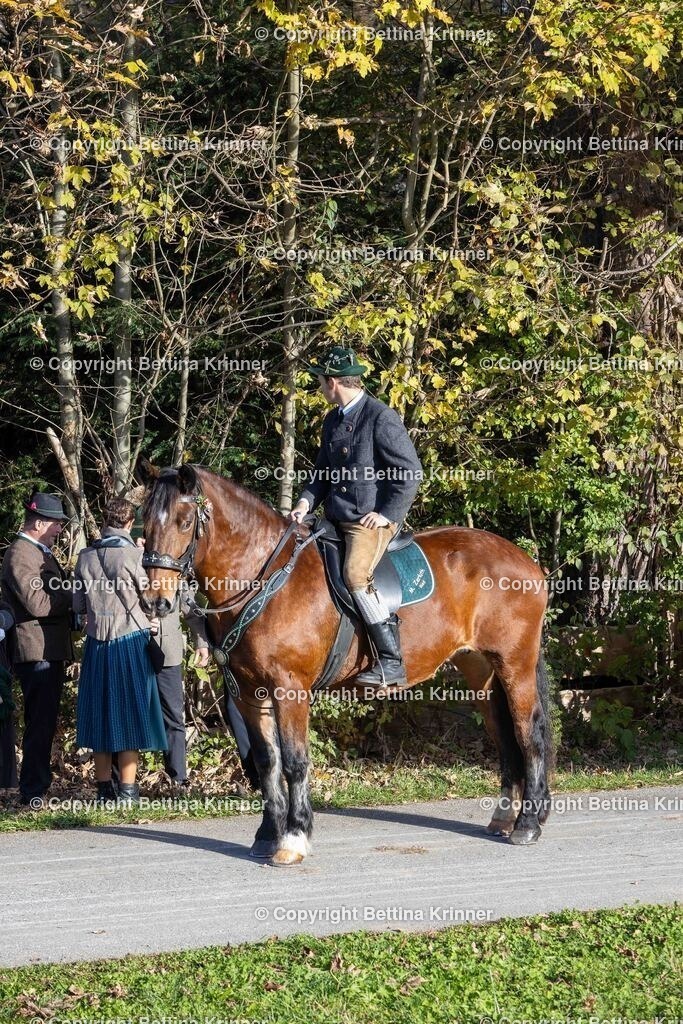 LBT24-127 | foto-bettina-krinner - Realisiert mit Pictrs.com