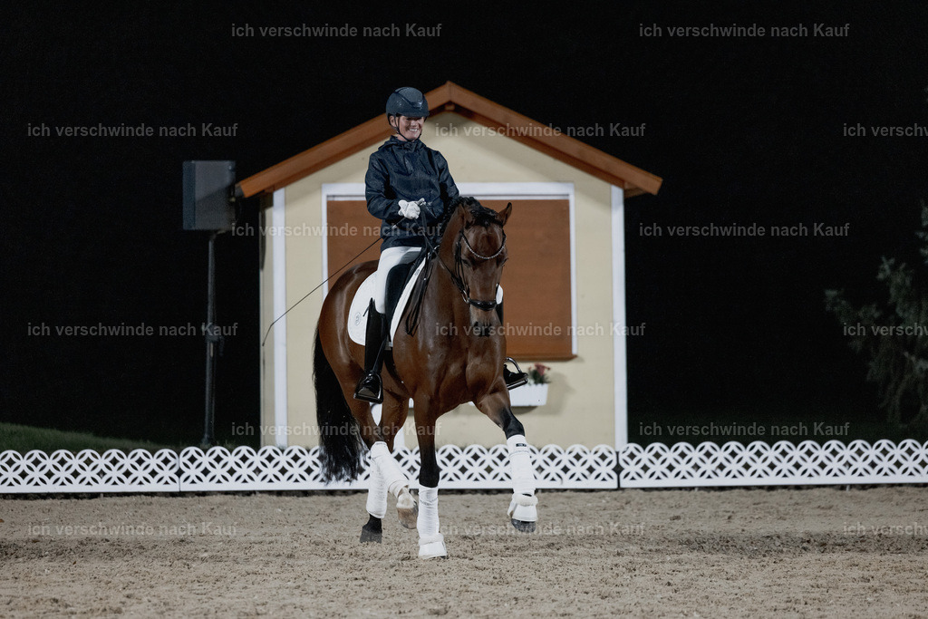 FHClassics-50 | working equitationturnier fotograf videograf stoibphotography marixx film working equitation deutschland reitsport turnierfotografie eventfotografie equestrian events