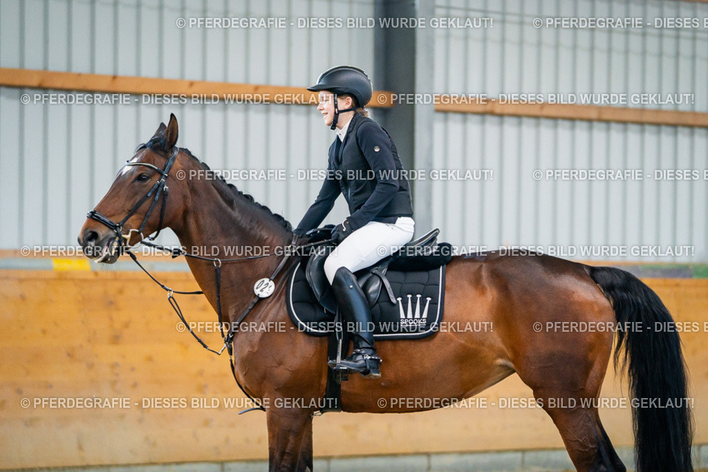 DSC00644 | Pferdegrafie