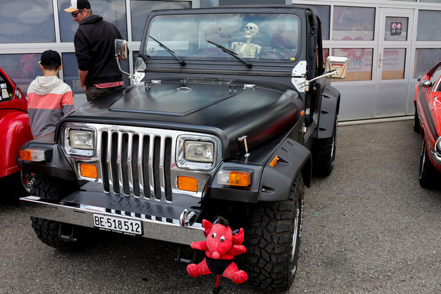 Calag_Oldtimer2025-20 | Ich fotografiere Hundeausstellungen, Sportanlässe, Zuchtstätten, Hundezucht, Hundeportrait, Lagotto - Realisiert mit Pictrs.com