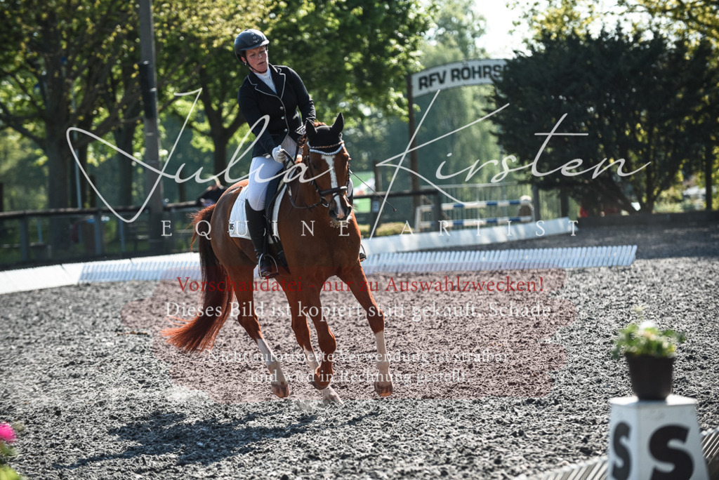 DSC_8750 | Pferde- und Turnierfotografie in Westsachsen. Pferdeportraits, Auftragszeichnungen und intuitive Kunst.