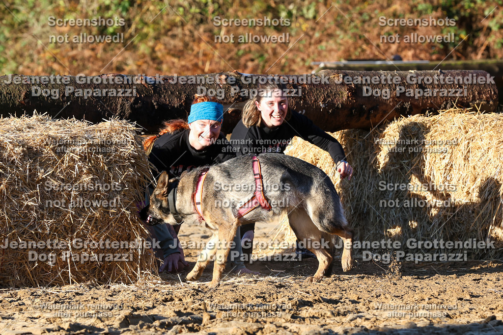 Dog Paparazzi - Strongdog 10-25-1103 | Dog Paparazzi Jeanette Grottendiek Fotografie & Videografie - Realisiert mit Pictrs.com