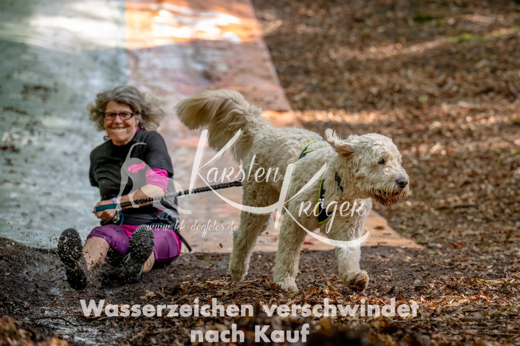 1221_ZZ94266-Bearbeitet | kk-dogfotos