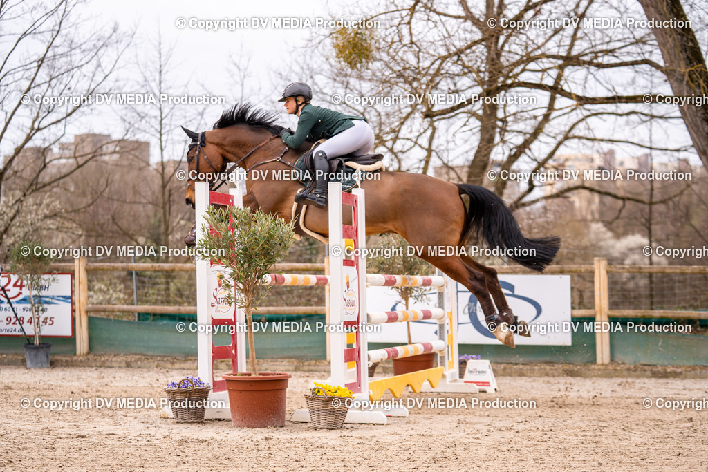 Kranichstein Tag 2-478 | dv-media-shop - Realisiert mit Pictrs.com