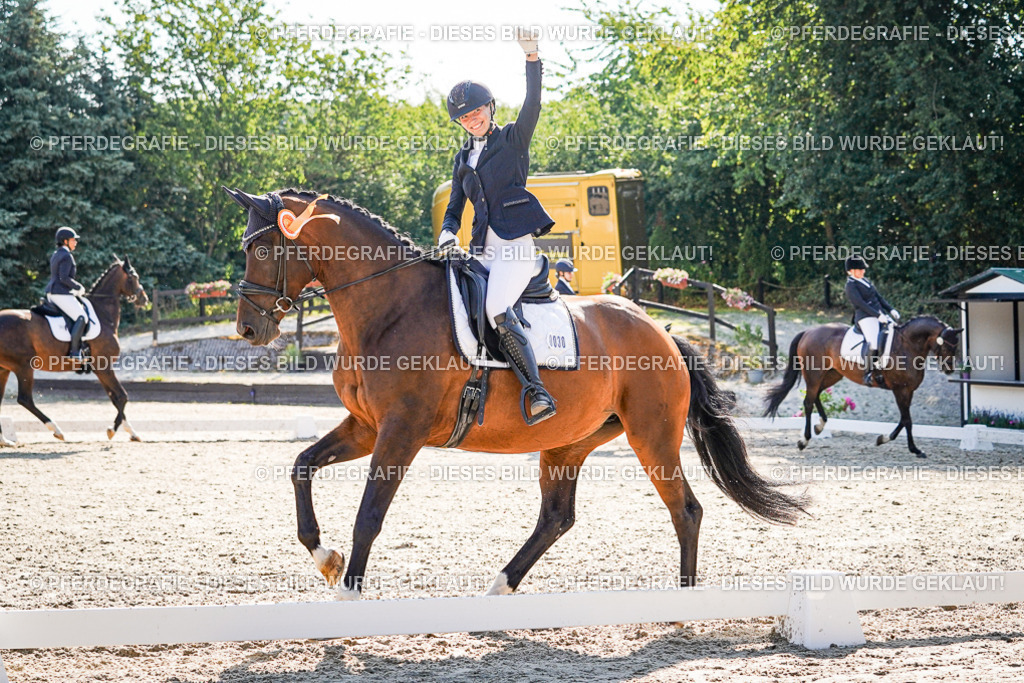 DSC00198 | Pferdegrafie