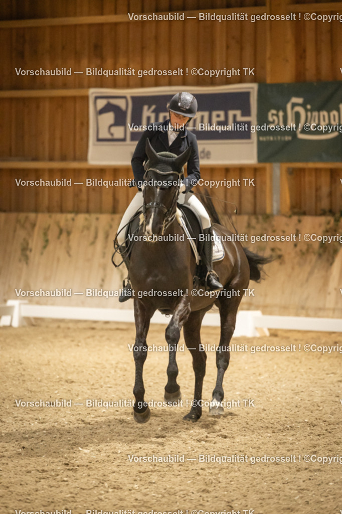 _D5A4079 | Emotionale Pferde- & People-Fotografie rund um Heidelberg, Leimen & Umgebung. Natürliche Fotos von Pferd, Mensch & Familie. Jetzt Termin sichern!