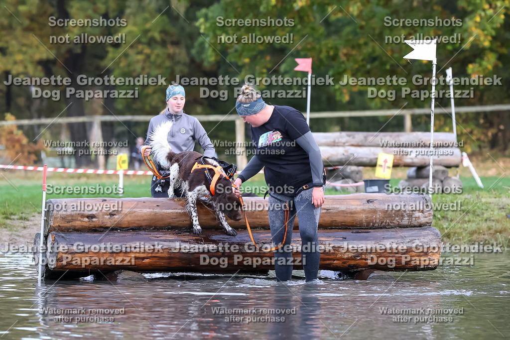 Dog Paparazzi - Strongdog 10-25-6701 | Dog Paparazzi Jeanette Grottendiek Fotografie & Videografie