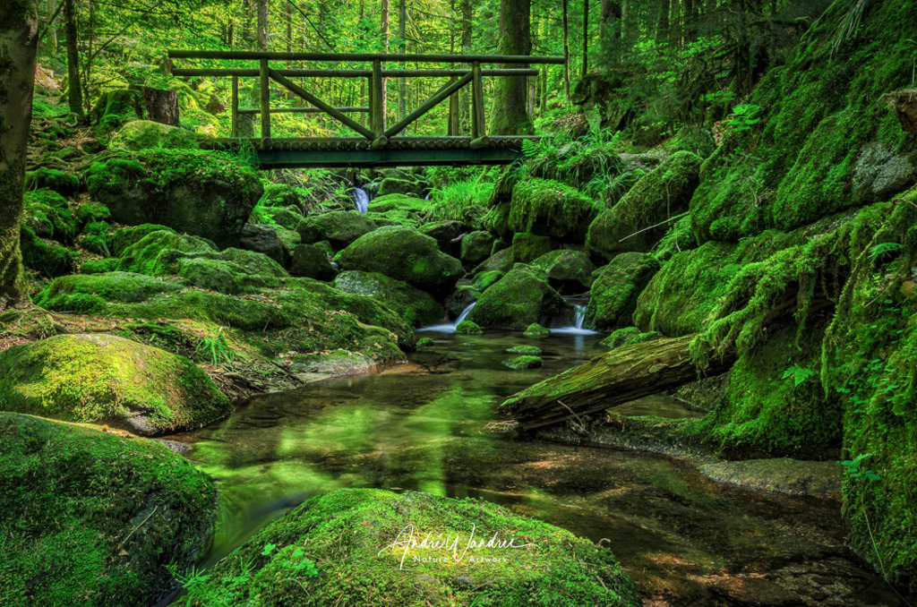 Am Gertelbach | Andre Wandrei - Nature Artworx - Realisiert mit Pictrs.com