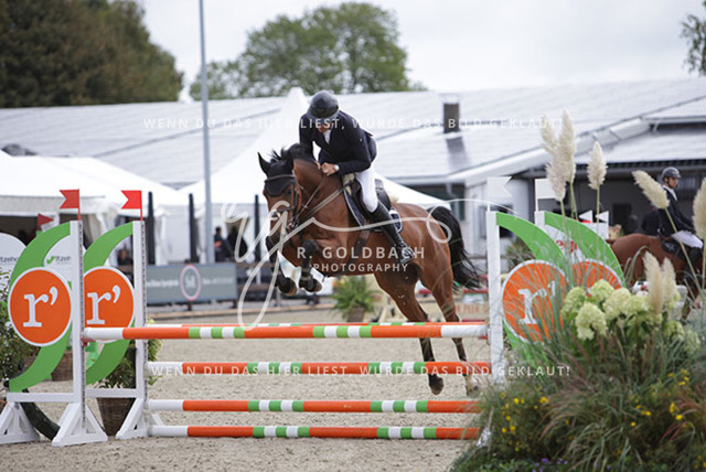 1J2A1328Jordi Sander_ Naomi 492_ Kn771_ Havekost | Foto- und Videografie für alles rund ums Pferd. Hochwertige Bilder und Videos vom Spring- und Dressurreiten, Voltigieren & mehr. Jetzt aktuelle Veranstaltungen und Preise im Shop ansehen. - Realisiert mit Pictrs.com