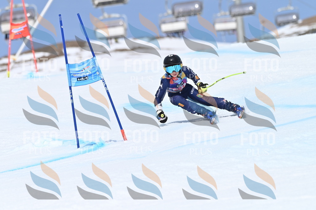 BGV_2088 | holidayphoto