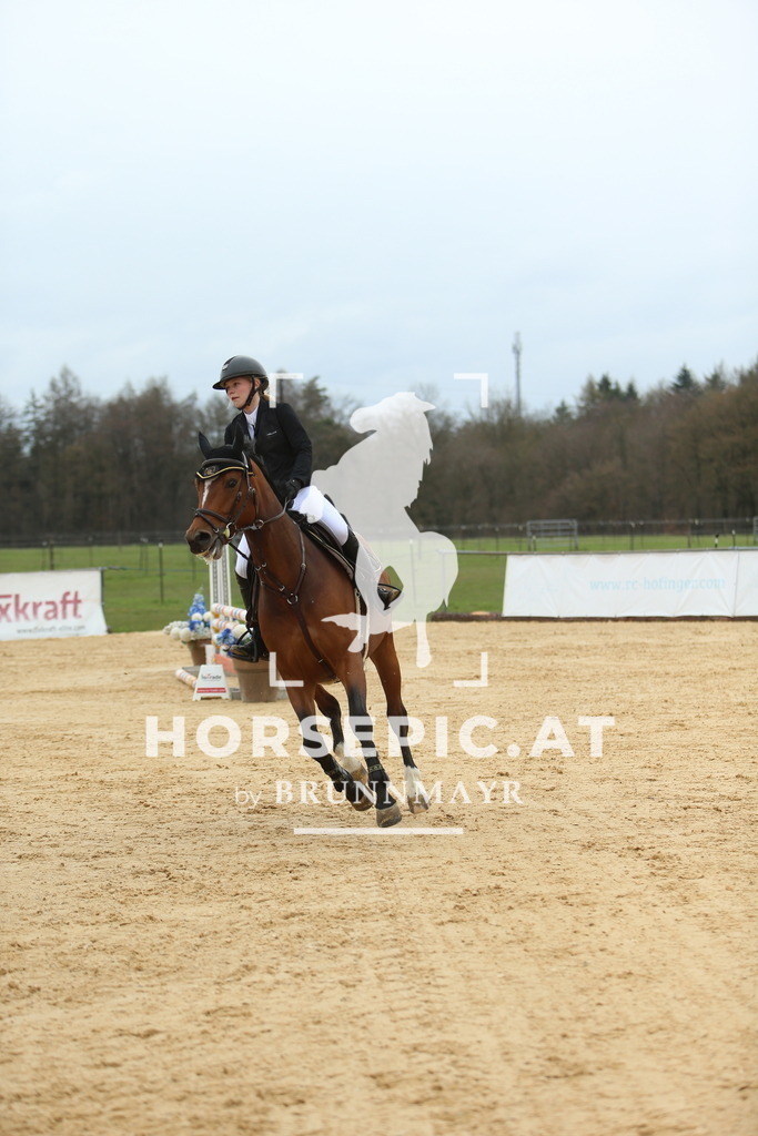 DL2Q1452 | Willkommen bei Brunnmayr - Design & Fotografie – Ihrem Spezialisten für Reitturniere und Pferdeveranstaltungen in Oberösterreich, Salzburg und Bayern! Seit über 17 Jahren sind wir leidenschaftlich dabei.