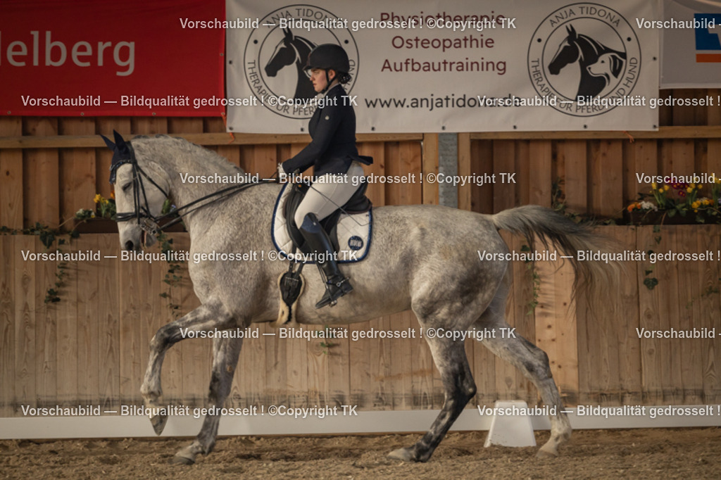 _D5A3333 | Emotionale Pferde- & People-Fotografie rund um Heidelberg, Leimen & Umgebung. Natürliche Fotos von Pferd, Mensch & Familie. Jetzt Termin sichern!