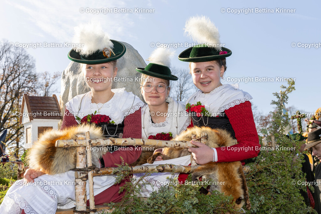 LBT24-1061 | foto-bettina-krinner - Realisiert mit Pictrs.com