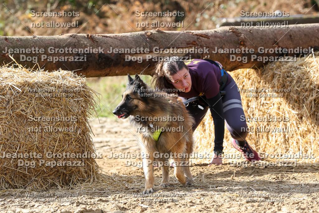 Dog Paparazzi - Strongdog 10-25-5708 | Dog Paparazzi Jeanette Grottendiek Fotografie & Videografie - Realisiert mit Pictrs.com