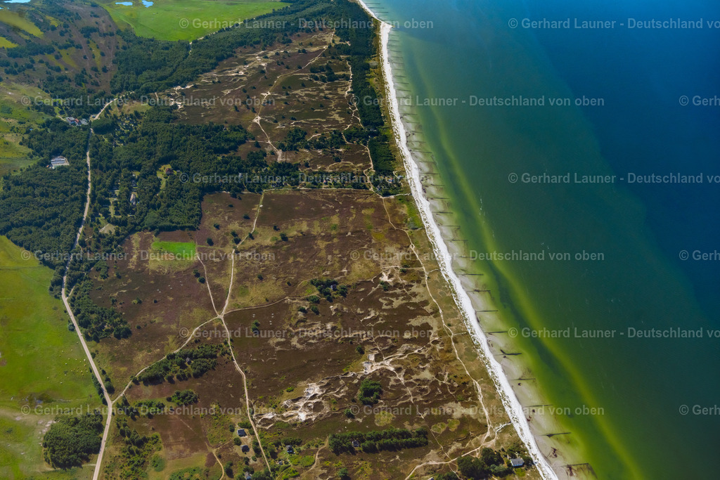 4061552 | INSEL HIDDENSEE 08.09.2021 Heide- Landschaft Dünenheide an Ostseeküste der Insel Hiddensee im Bundesland Mecklenburg-Vorpommern. // Heathland landscape Duenenheide in Insel Hiddensee in the state Mecklenburg - Western Pomerania. Foto: Gerhard Launer
