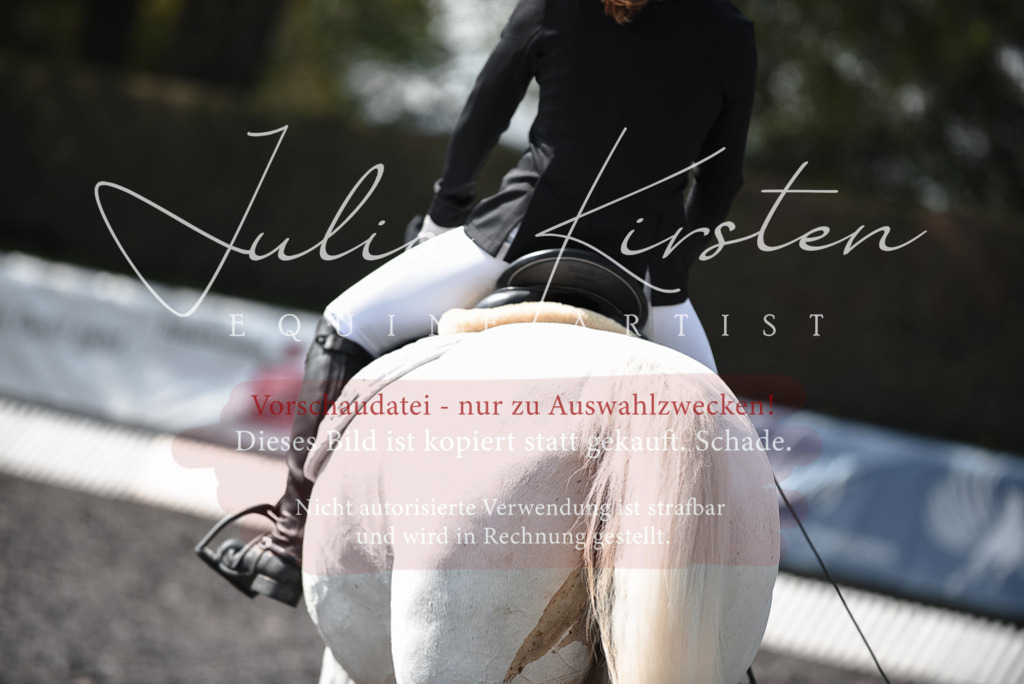 20230513_JK-Röhrsdorf-14-379 | Pferde- und Turnierfotografie in Westsachsen. Pferdeportraits, Auftragszeichnungen und intuitive Kunst.