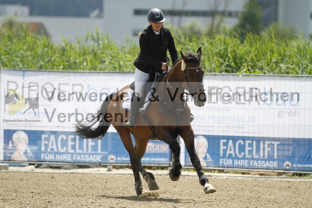 _MG_2587 | equestrian-live-com