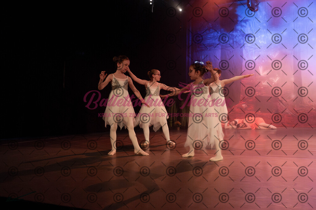 Ballettaufführung-1091 | Bildershop Lem'n Entertainment - Realisiert mit Pictrs.com
