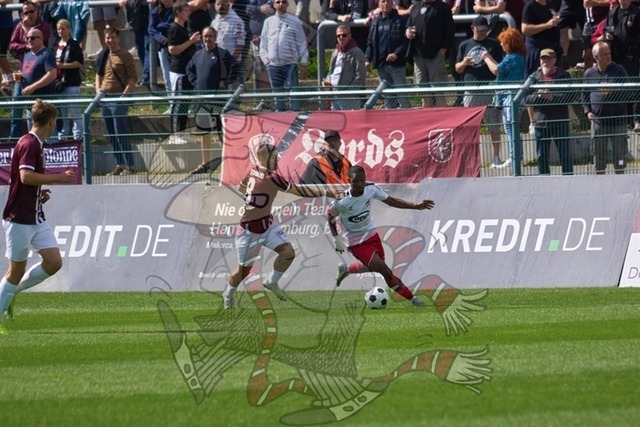 BFC Dynamo vs. ZFC Meuselwitz 049 | mythos-online-redaktion