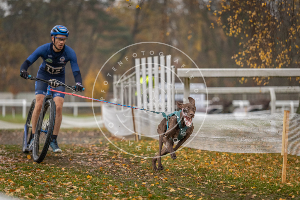 CaniXpix_DV3A7505 | Hundefotografie, Tierfotograf, Pfotenfotografie, Fotoshooting Hund, Hunde Portrait, Hundesport, Hundeportraits, Heideshooting, Hunde, Sportfotograf, Hundefotograf, Turnierhundsport, THS,  - Realisiert mit Pictrs.com