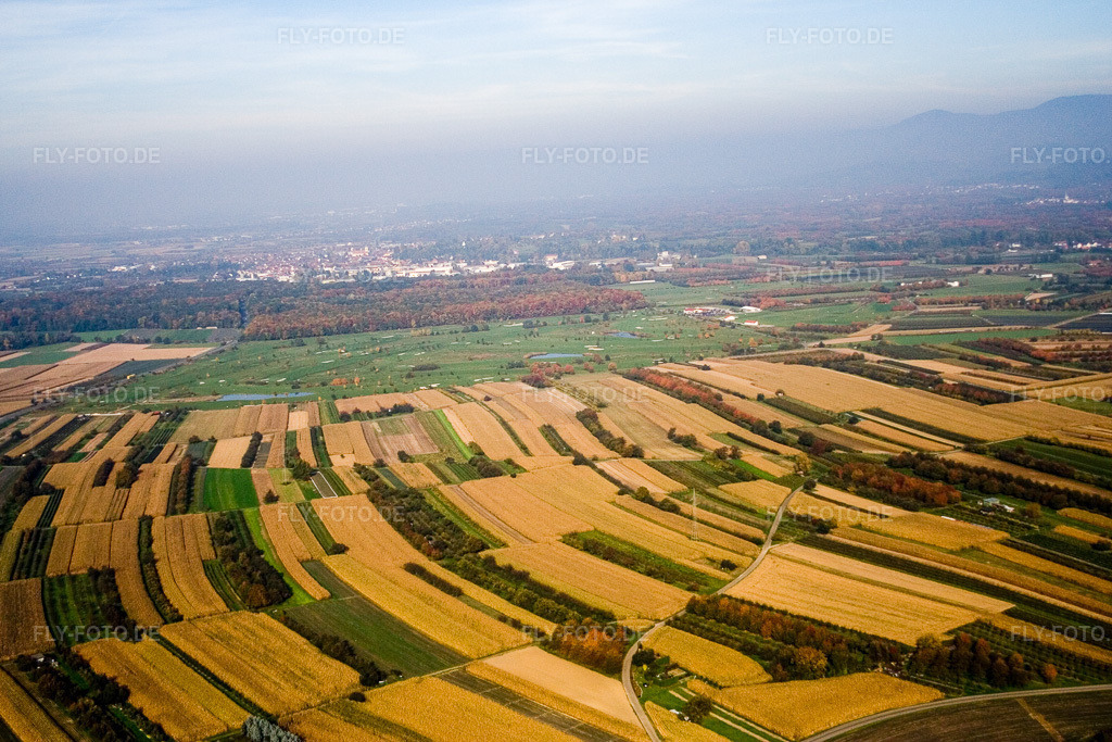 Luftbild: Urloffen, Golfclub Urloffen e.V im Ortsteil Urloffen in Appenweier im Bundesland Baden-Württemberg in Deutschland. Foto: IMG_13904.jpg vom 11.10.2008 durch Werner Riehm/FLY-FOTO.de