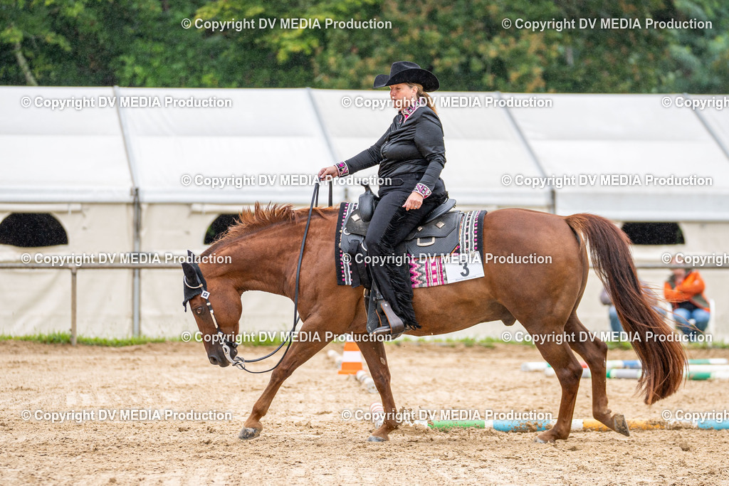 LM Heiligenwald Tag 3-533 | dv-media-shop - Realisiert mit Pictrs.com