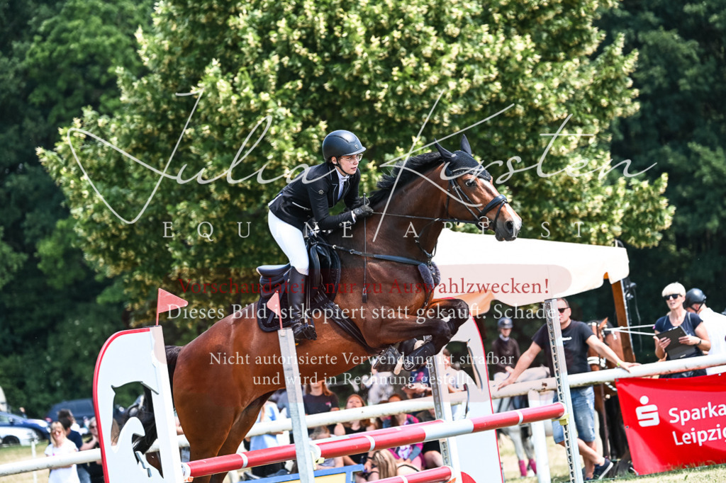DSC_0048 | Pferde- und Turnierfotografie in Westsachsen. Pferdeportraits, Auftragszeichnungen und intuitive Kunst.