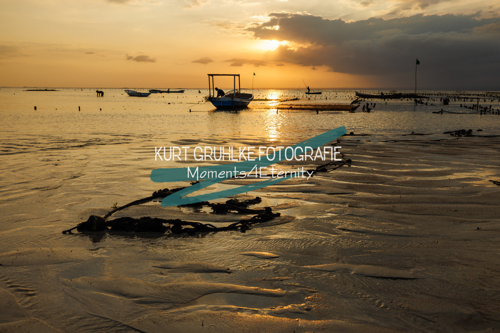 230723-2499 | onlinegalerie und Fotoshop Kurt Gruhlke Fotograf Berlin
Hochzeitsfotograf Eventfotograf Portraitfotografie
 - Realisiert mit Pictrs.com