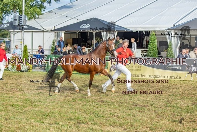 26-8-22 DR I-196 | mandyhollmannphotographie