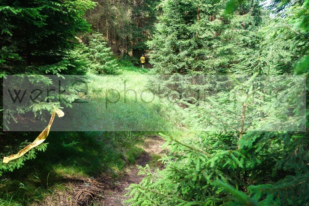 Schneekopflauf 2024 | Am 6. Juli 2024 startete der 21. Schneekopflauf von Schmiedefeld zum Schneekopf.