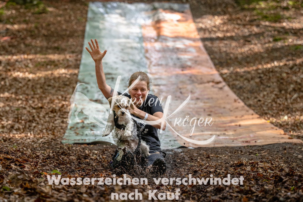 1138_ZZ91708-Bearbeitet | kk-dogfotos