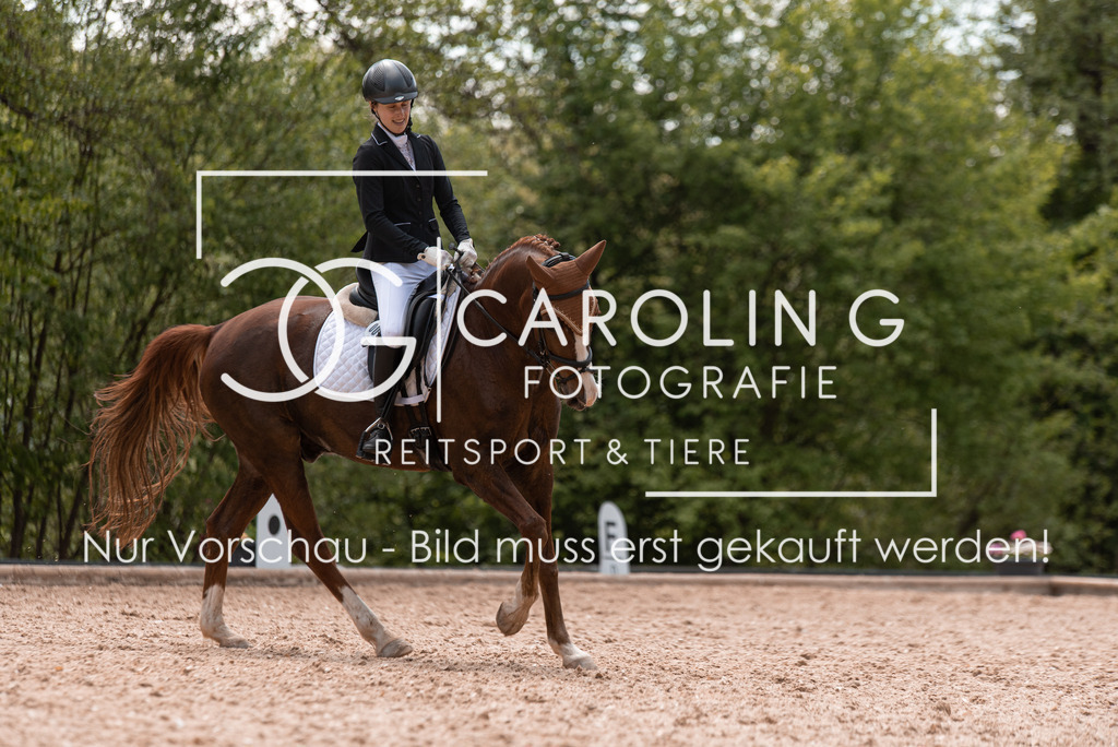 DSC_0373 | Turnierfotografin Carolin Gieschke, Turnierfotografie Carolin G Fotografie, Turnierfotos Kirchheim/Teck, Esslingen, Stuttgart, Bodenseekreis