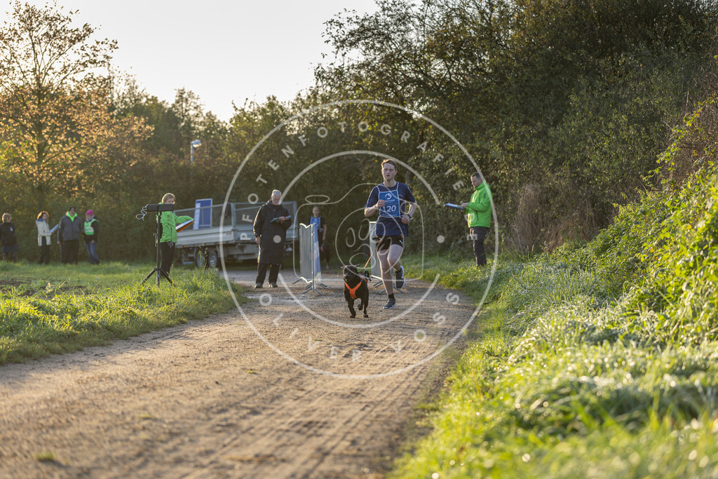 Pfotenfotografie.de_DV3A2407 | Hundefotografie, Tierfotograf, Pfotenfotografie, Fotoshooting Hund, Hunde Portrait, Hundesport, Hundeportraits, Heideshooting, Hunde, Sportfotograf, Hundefotograf, Turnierhundsport, THS, canicross - Realisiert mit Pictrs.com