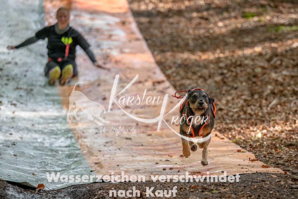 1143_ZZ92187-Bearbeitet | kk-dogfotos