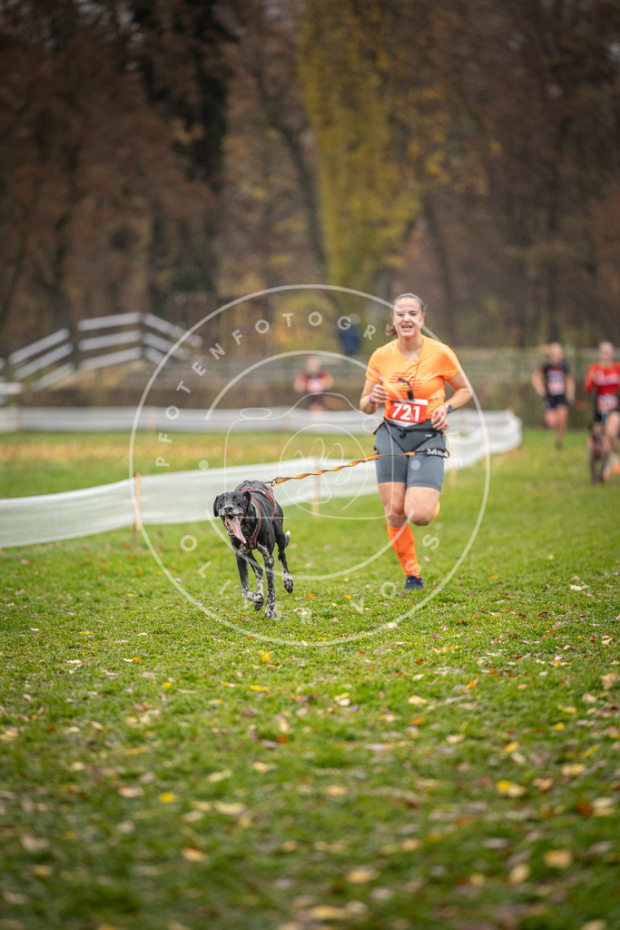 CaniXpix_DV3A9243 | Hundefotografie, Tierfotograf, Pfotenfotografie, Fotoshooting Hund, Hunde Portrait, Hundesport, Hundeportraits, Heideshooting, Hunde, Sportfotograf, Hundefotograf, Turnierhundsport, THS,  - Realisiert mit Pictrs.com