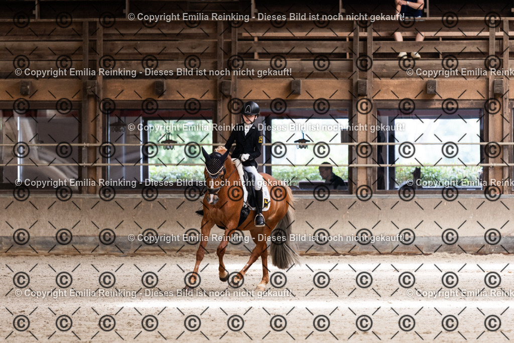 CL5A3847 | Emilia Reinking Fotografie - Realisiert mit Pictrs.com